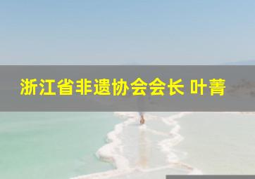 浙江省非遗协会会长 叶菁